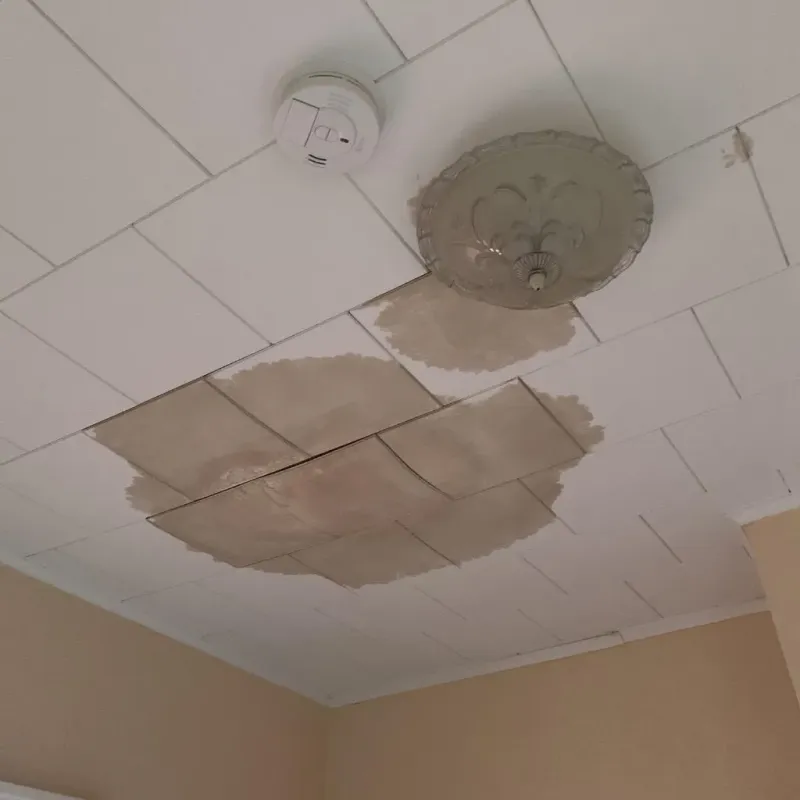 Ceiling Water Damage Repair in Cohoes, NY