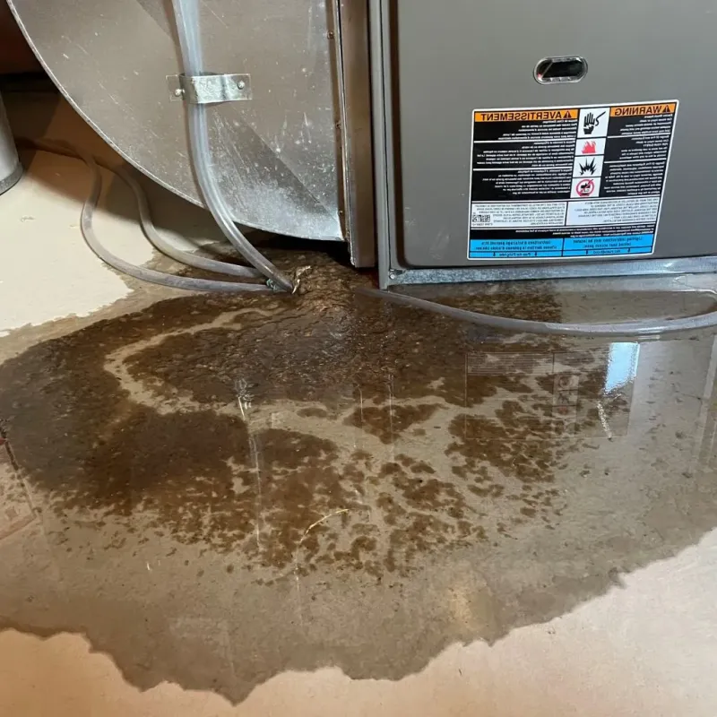 Pipe Burst and Leak Restoration in Cohoes, NY